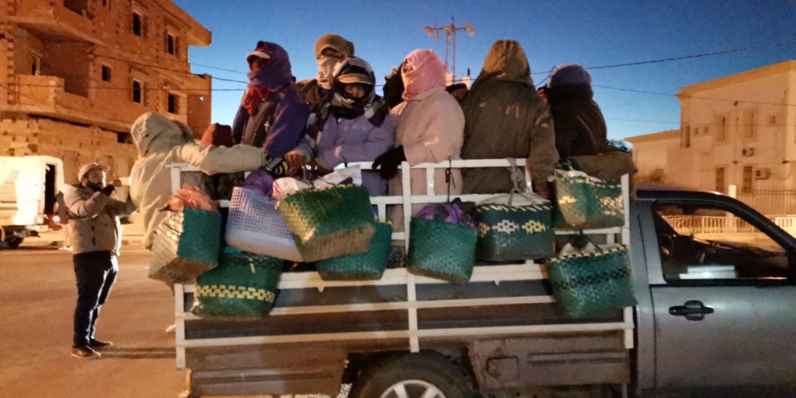 عندما تصل شاحنات الموت (2/2)