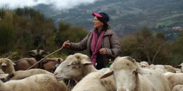 Les bergères italiennes, une « révolution du soin »