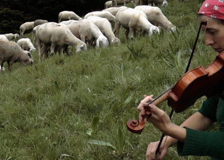 The care revolution in the hands of Italian shepherdesses