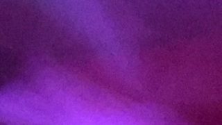 March 8 in a picture: Fuchsia, or the color of Women’s Day in Italy