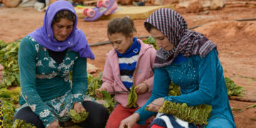In Lebanon, speaking out would cost the tobacco farmer her life