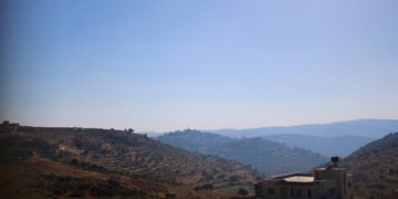 Coopératives : une alternative ancienne et nouvelle pour le développement en Palestine