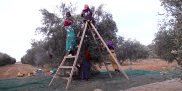 Demain dès l&rsquo;aube