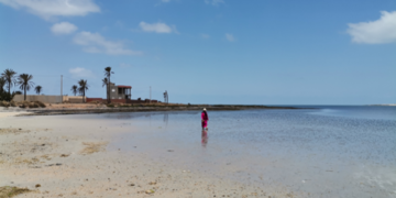 Les glaneuses de palourdes de Kerkennah, ces damnées de la mer