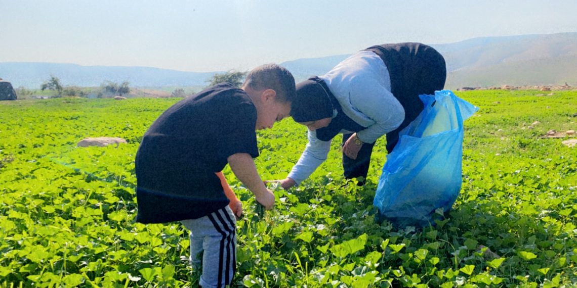 إبداع المرأة الفلسطينية في سبل الترفيه