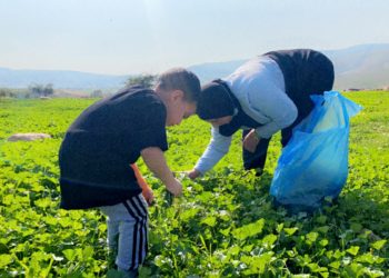 إبداع المرأة الفلسطينية في سبل الترفيه