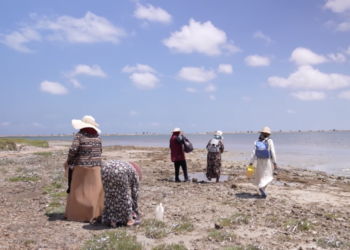 Les femmes du bord (2022), de Ons Kamoun