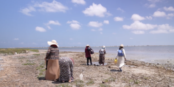 Les femmes du bord (2022), de Ons Kamoun