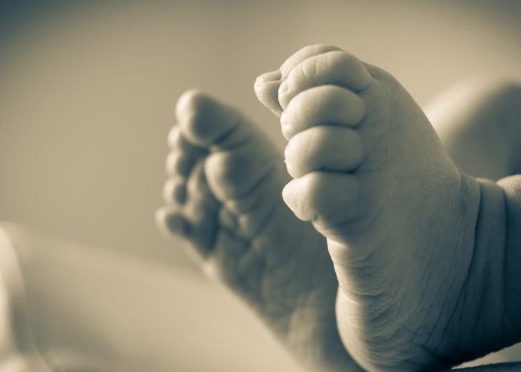 Palestine: With “liberated” sperm, the impossible becomes possible