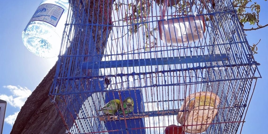 Séisme au Maroc – Reportage par Mahacine Mokdad (2)