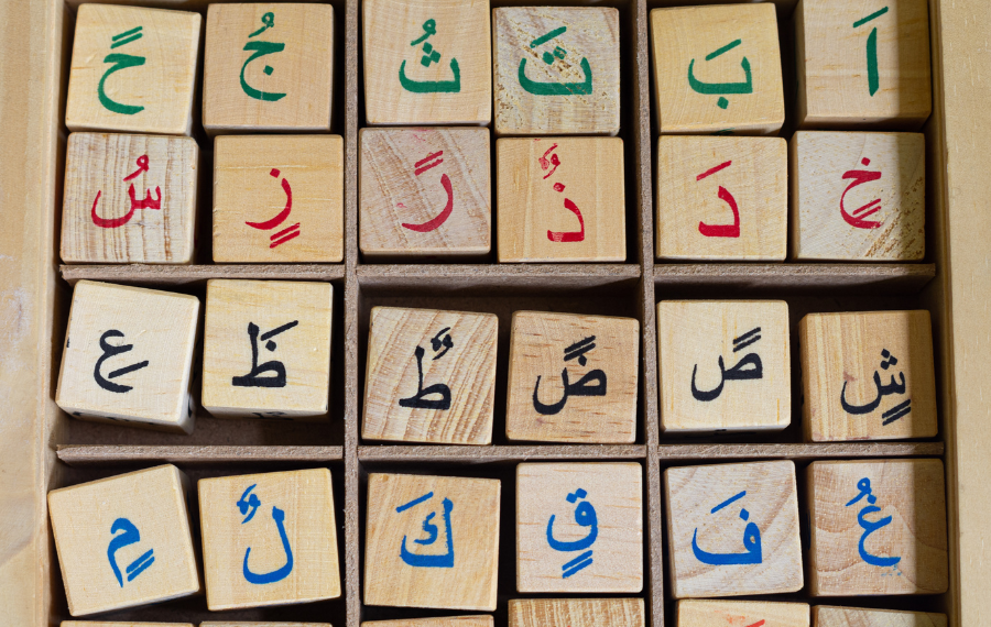 البحث في اللغة العربية… فعل نسوي أيضاً