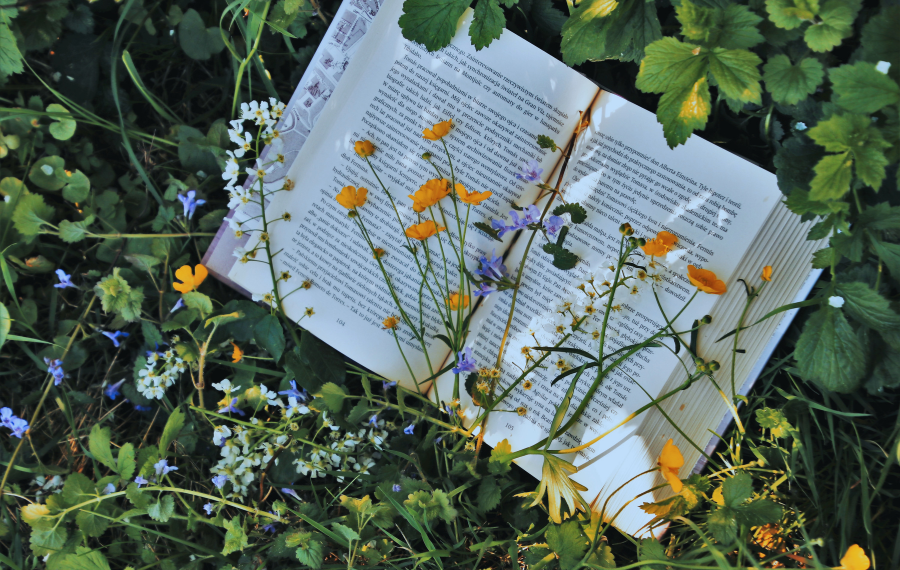 Du roman à l’essai : 6 livres féministes à lire et à relire