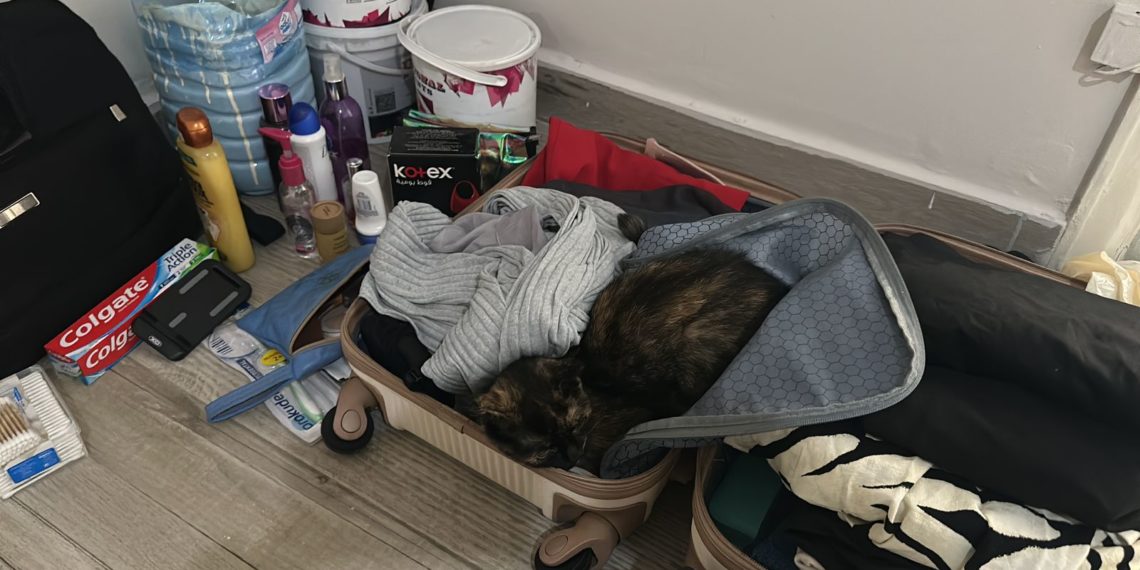 Déplacée libanaise, journaliste et mère d&rsquo;une chatte