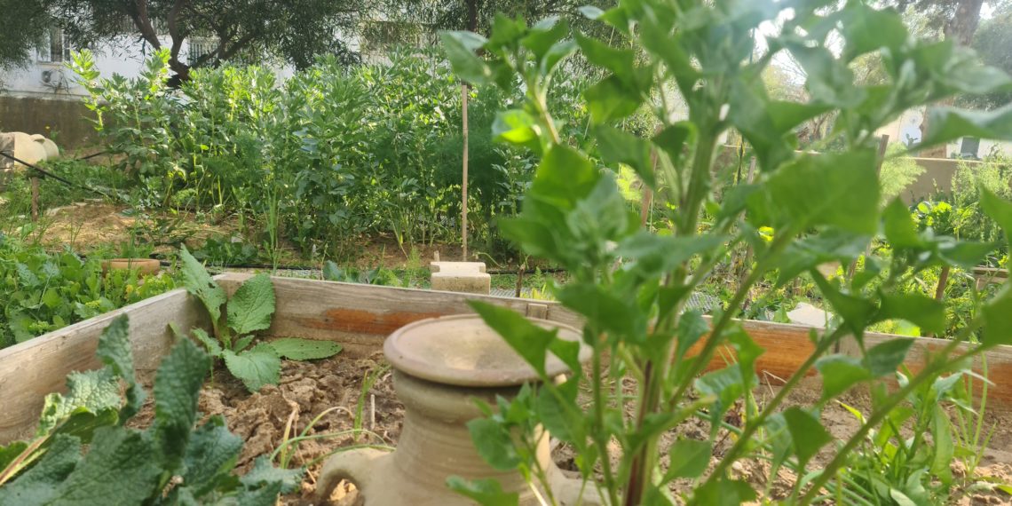 A green renaissance in the heart of concrete