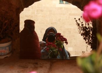 Goodbye Fatima, reporter of the ongoing Genocide in Gaza