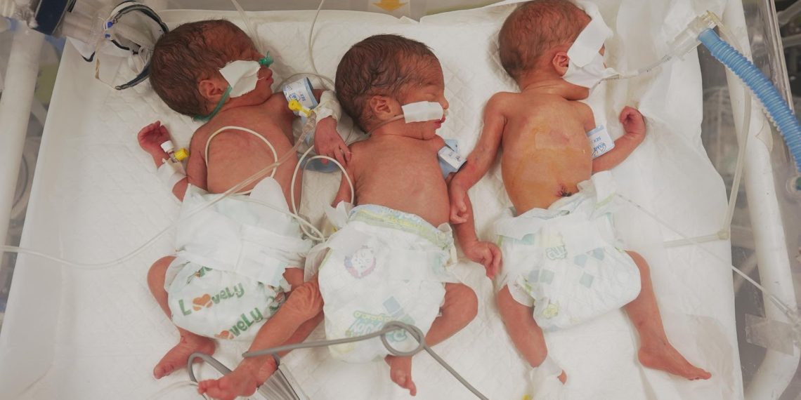 غزة: انهيار في عدد الولادات وتضاعف مقلق في وفيات الأمهات والرضّع