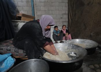 "هربت وأنا شايلة حالي عالعكاز": معاناة النساء المسنّات في غزة