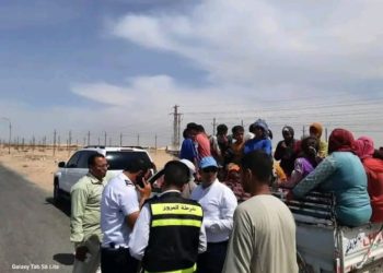 Three women for one man’s pay: The plight of female agricultural workers in Egypt