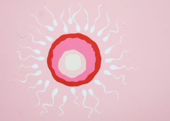 Infertility: Taboo and the expansion of medically assisted reproduction in Tunisia