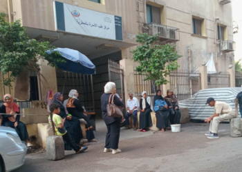 أجساد المصريات تحت الوصاية الذكورية والإنجاب القسري