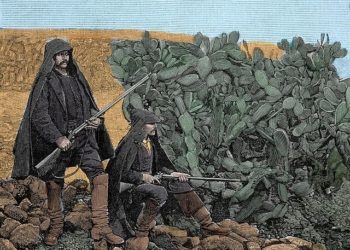 Il ruolo della donna nelle mafie italiane