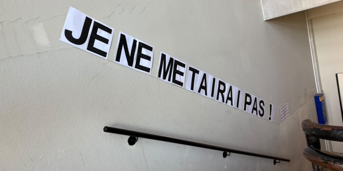 Le Collage féministe, de la rue aux cours d’école : un cri qui perdure contre les féminicides
